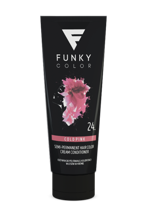 Toner do włosów Odżywka koloryzująca 24 Funky Color 100 ml