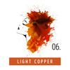 Toner Do Włosów Funky Color 06 Light Cooper 100 ml